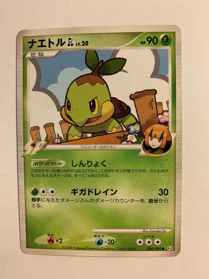 Turtwig